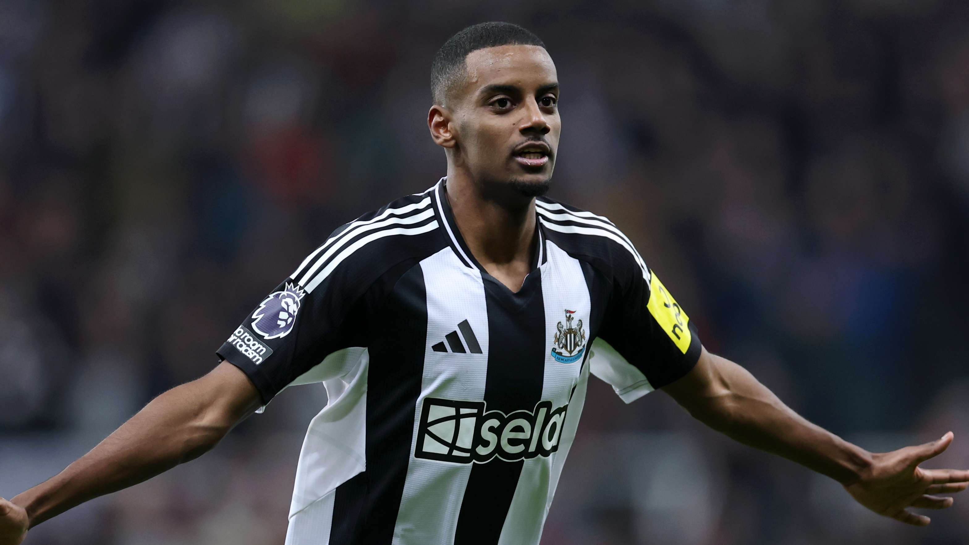 所引发的安 所引发的安