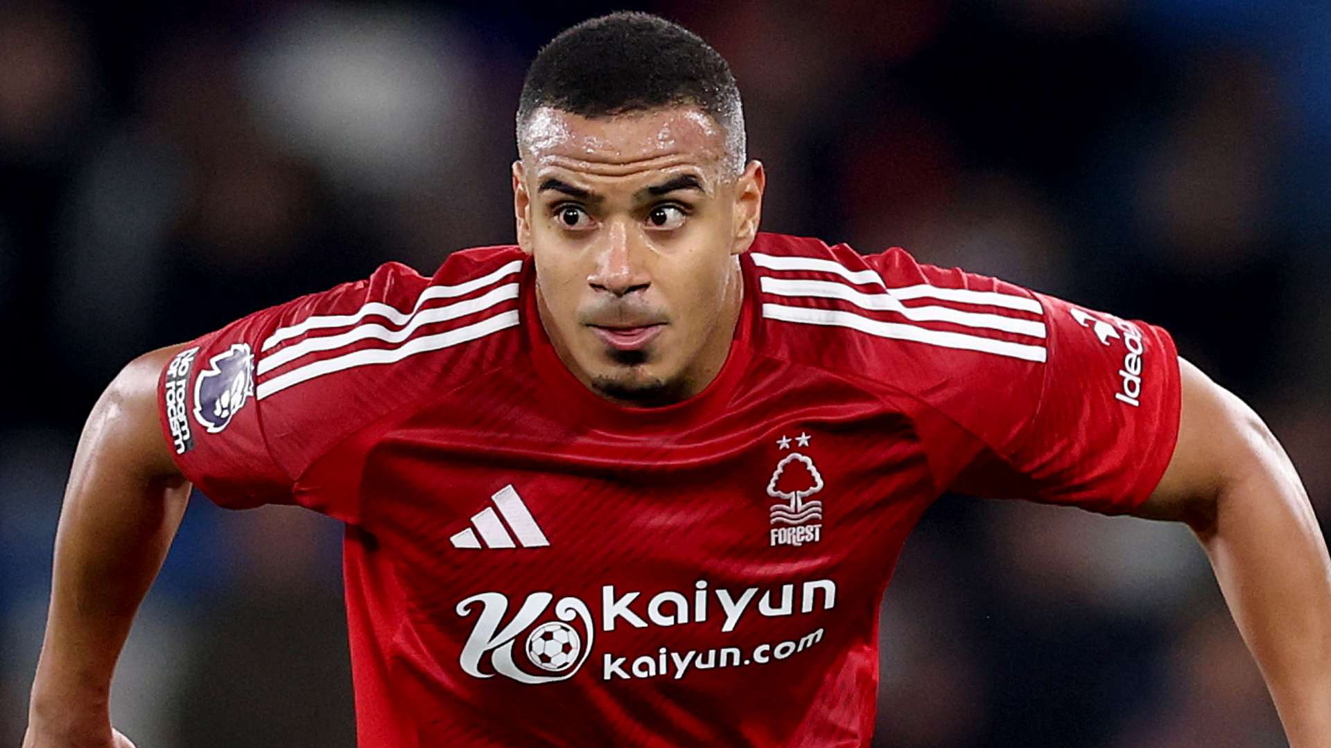 团队精神的 团队精神的