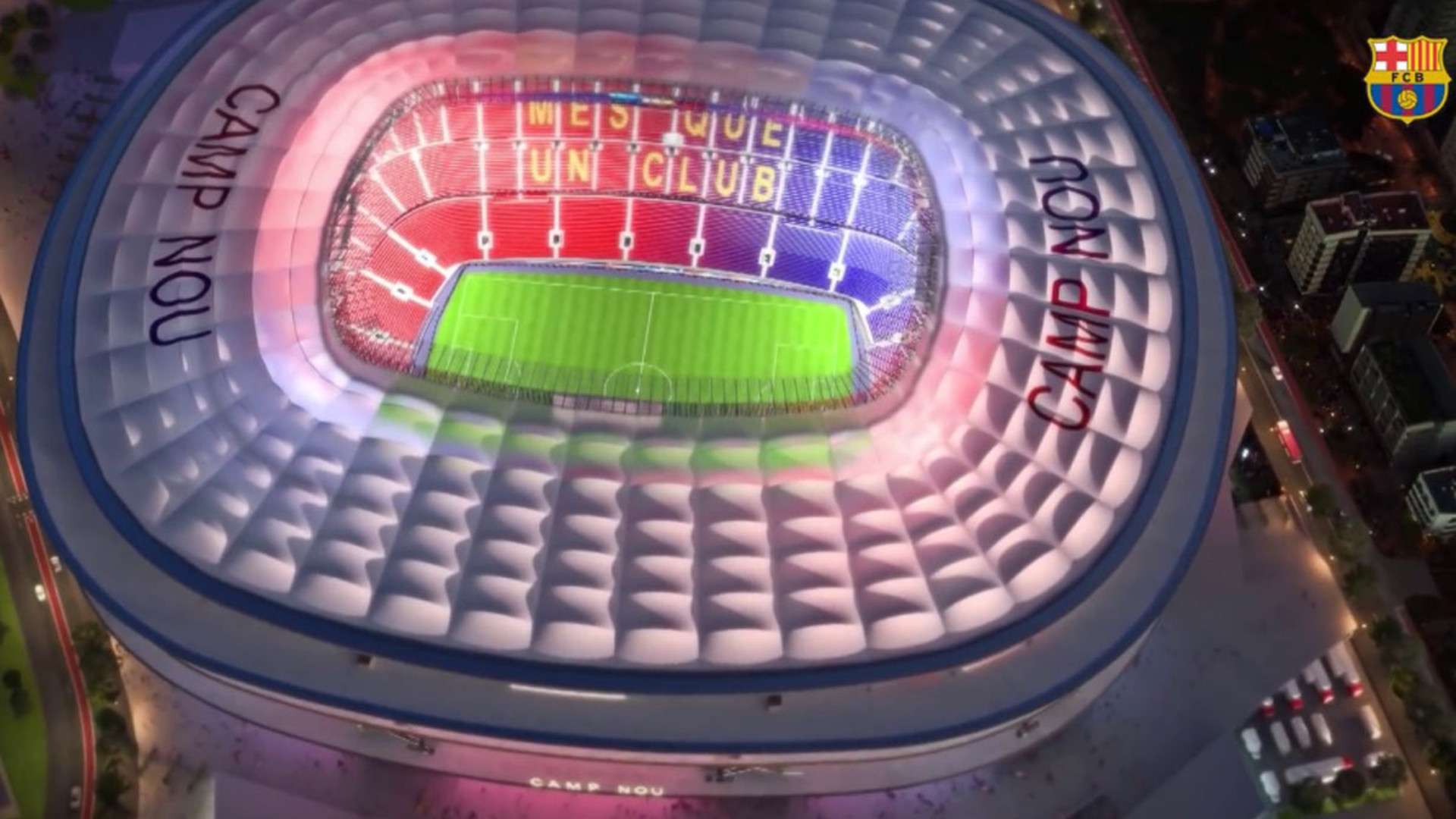 表现充满期 表现充满期